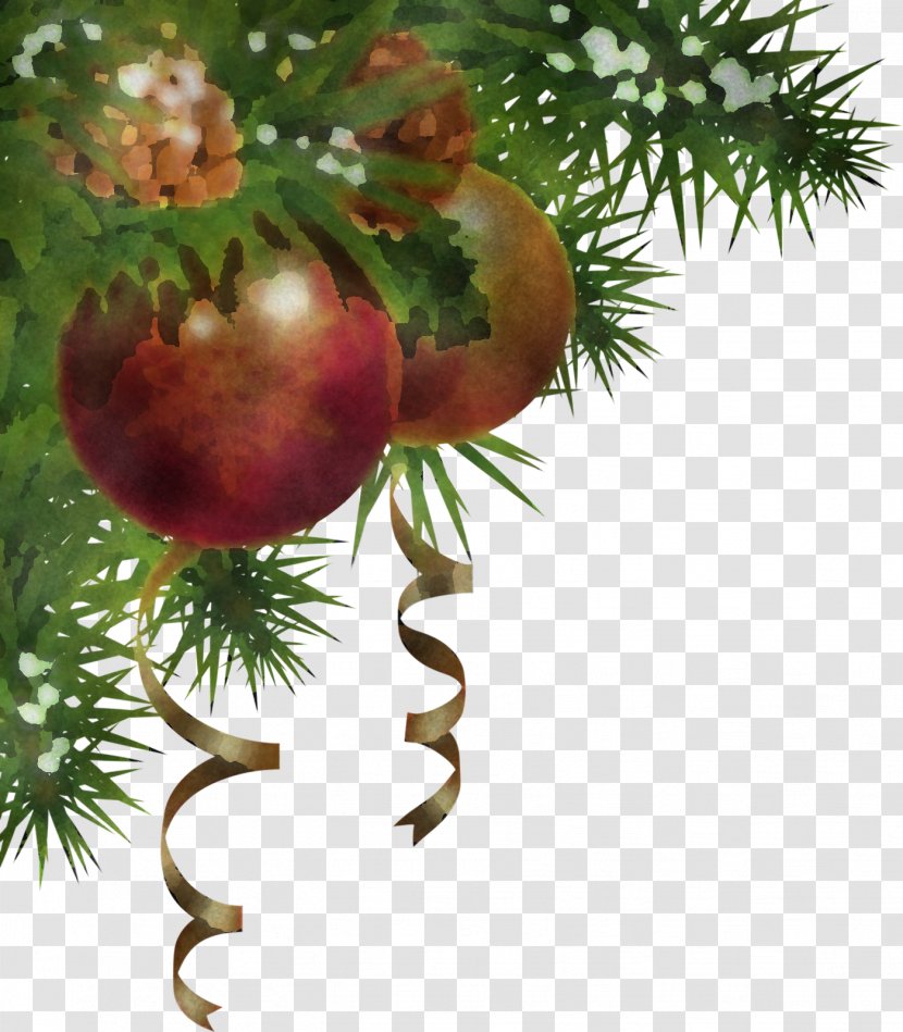 Christmas Ornament - Fir - Holiday Transparent PNG