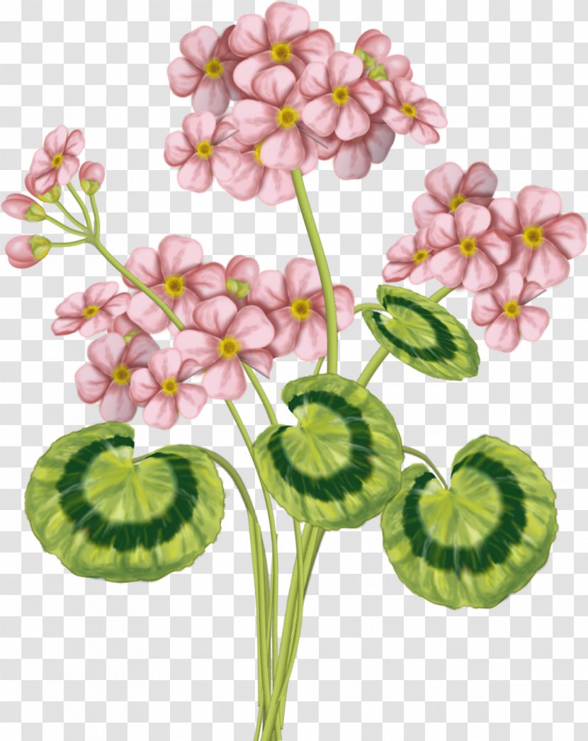 Pink Flower Green Color - Plant Stem Transparent PNG