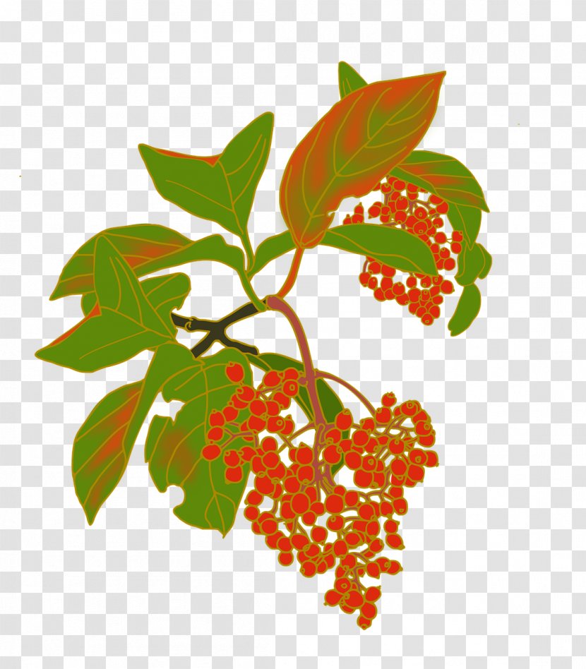 Clip Art Fruit Viburnum - Tree Transparent PNG