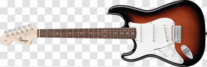 Fender Stratocaster Bullet Squier Deluxe Hot Rails Guitar - Cartoon Transparent PNG