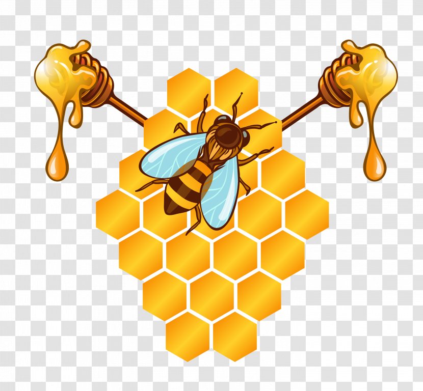 Honey Bee Honeycomb - Vector Material Transparent PNG