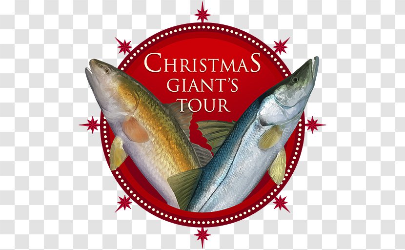 Santa Claus Fishing Planet Christmas Angling - New Year Transparent PNG