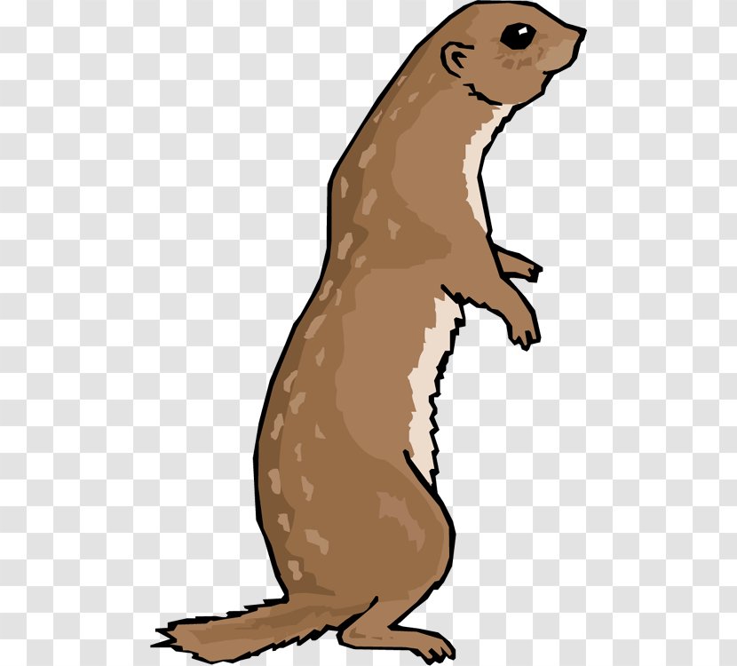 Black-tailed Prairie Dog Otter Clip Art - Animal Figure - Cliparts Transparent PNG