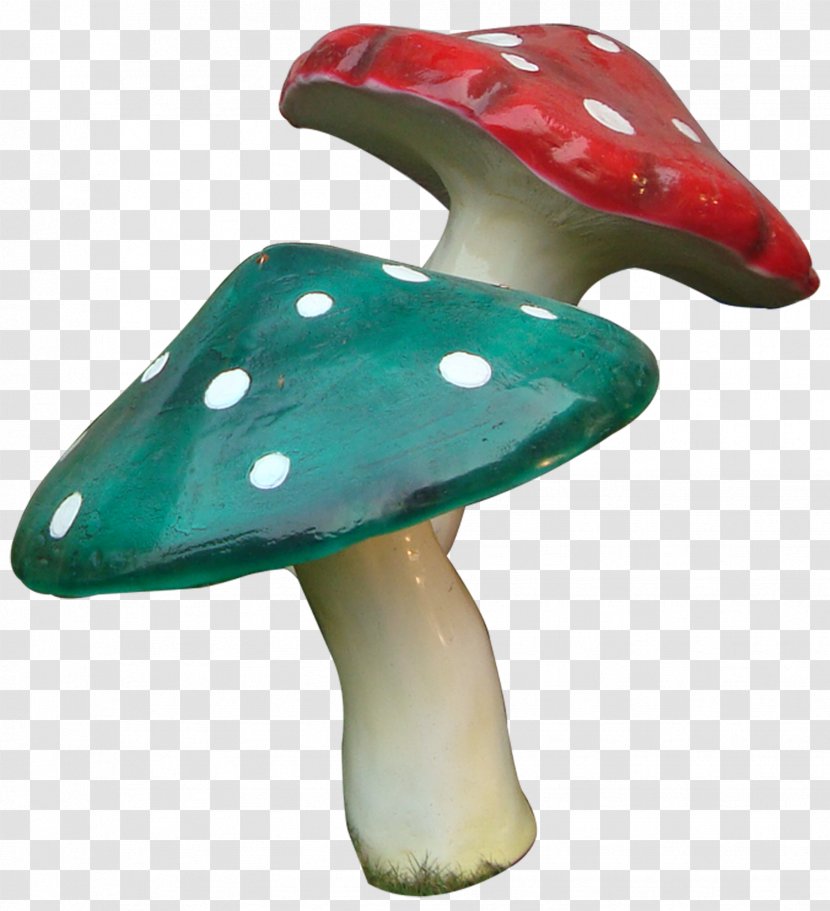 Mushroom - Shiitake Transparent PNG