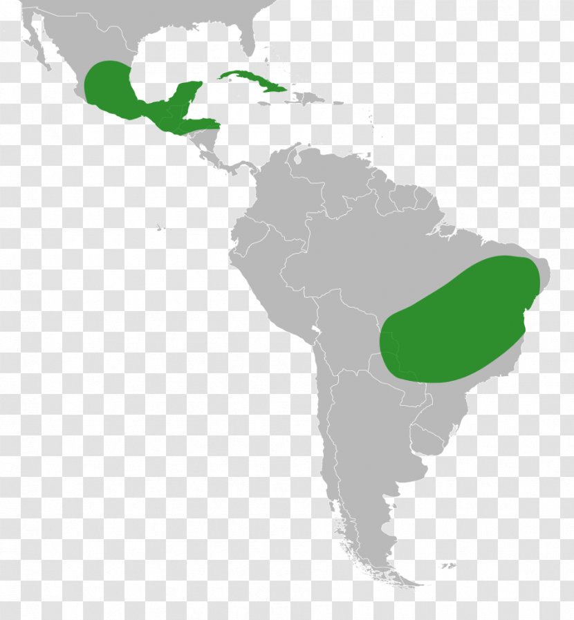 Latin America South Central Linguistic Map Transparent PNG