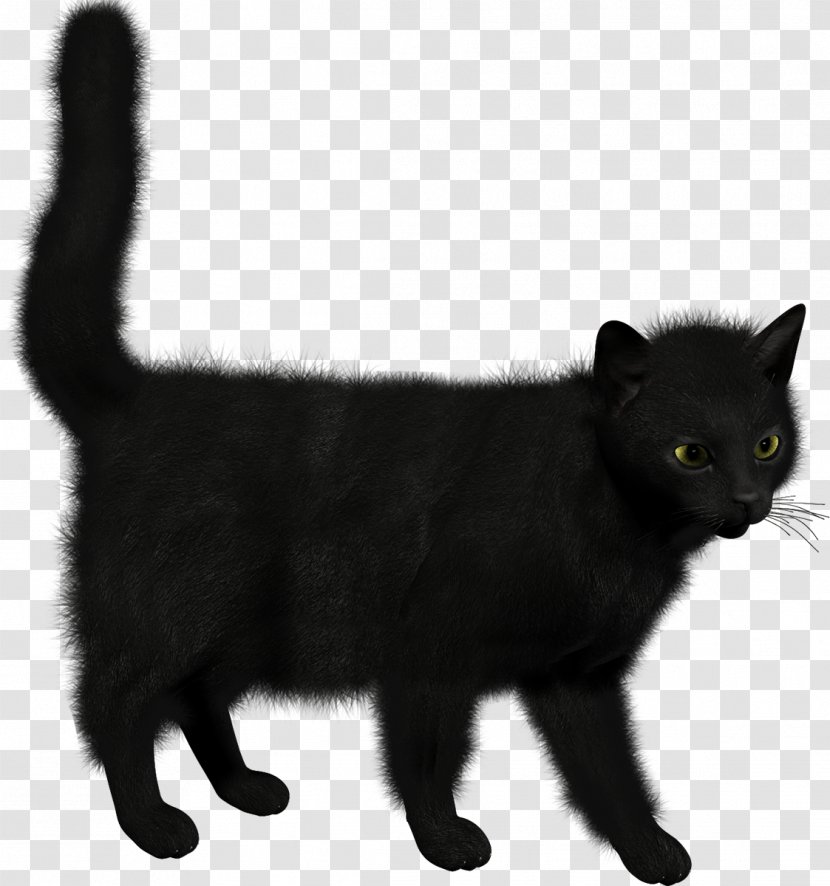 Black Cat Kitten Clip Art - Fur Transparent PNG