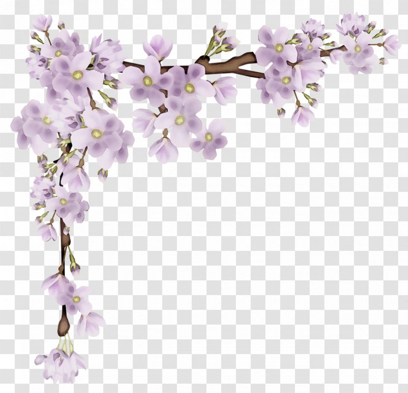 Blue Flower Borders And Frames - Violet - Red Bud Moth Orchid Transparent PNG