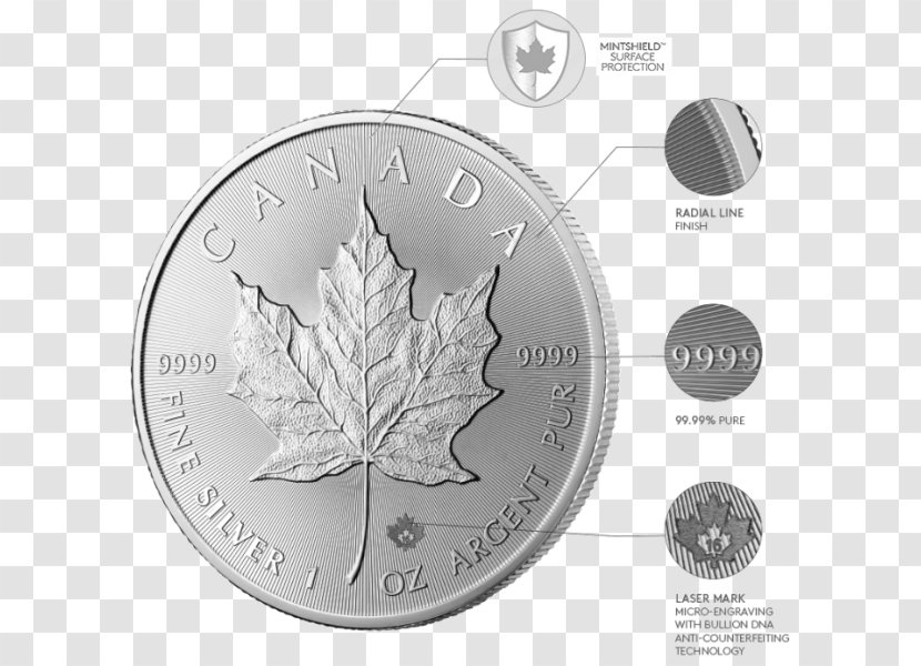 Silver Coin Canadian Maple Leaf Transparent PNG