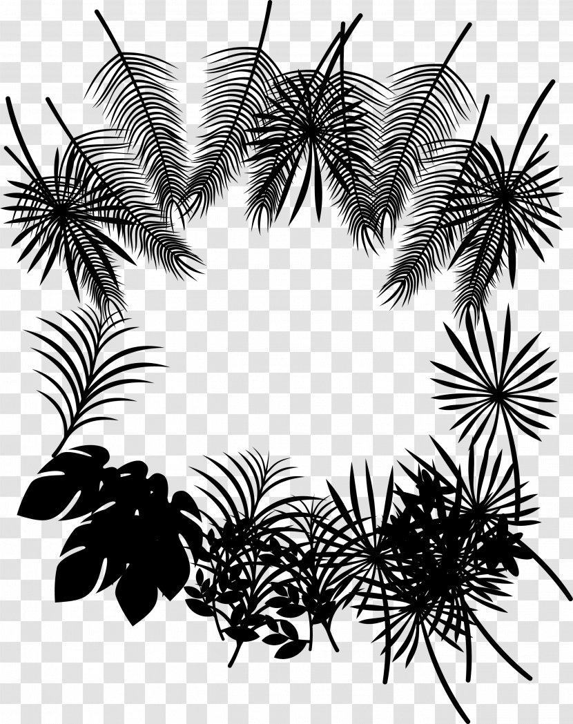 Palm Trees Leaf Clip Art Black & White - Plant - M Transparent PNG
