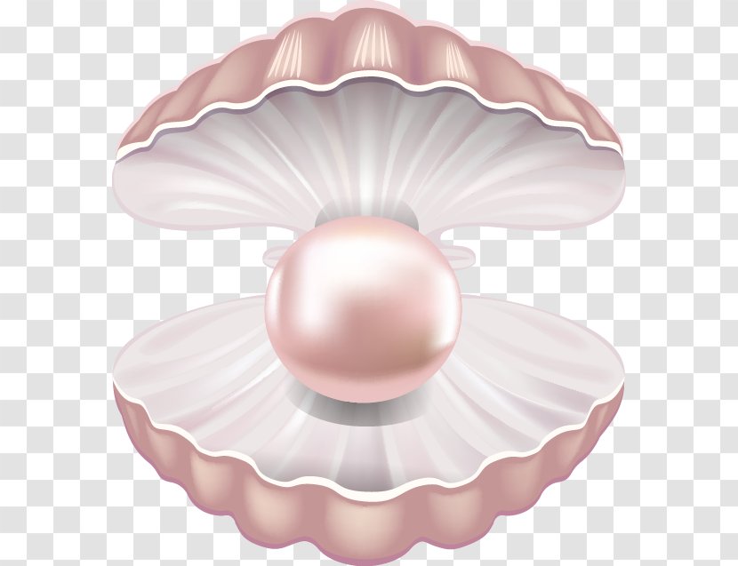 Pearl Seashell Mollusc Shell Gemstone - Stock Photography - Beautiful Pink Transparent PNG