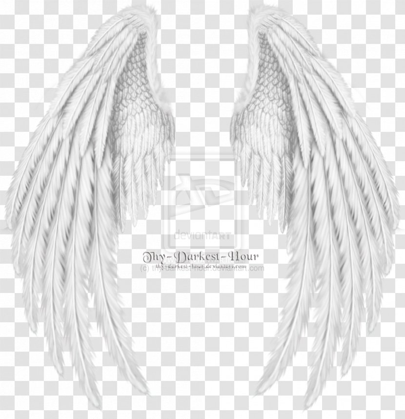 Drawing Cherub Angel Wing - Neck Transparent PNG