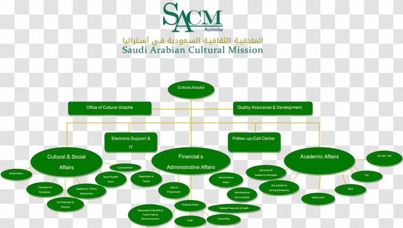 Saudi Arabian Cultural Mission To The US Organization Culture Statement - Supply Chain Organizational Structure Transparent PNG