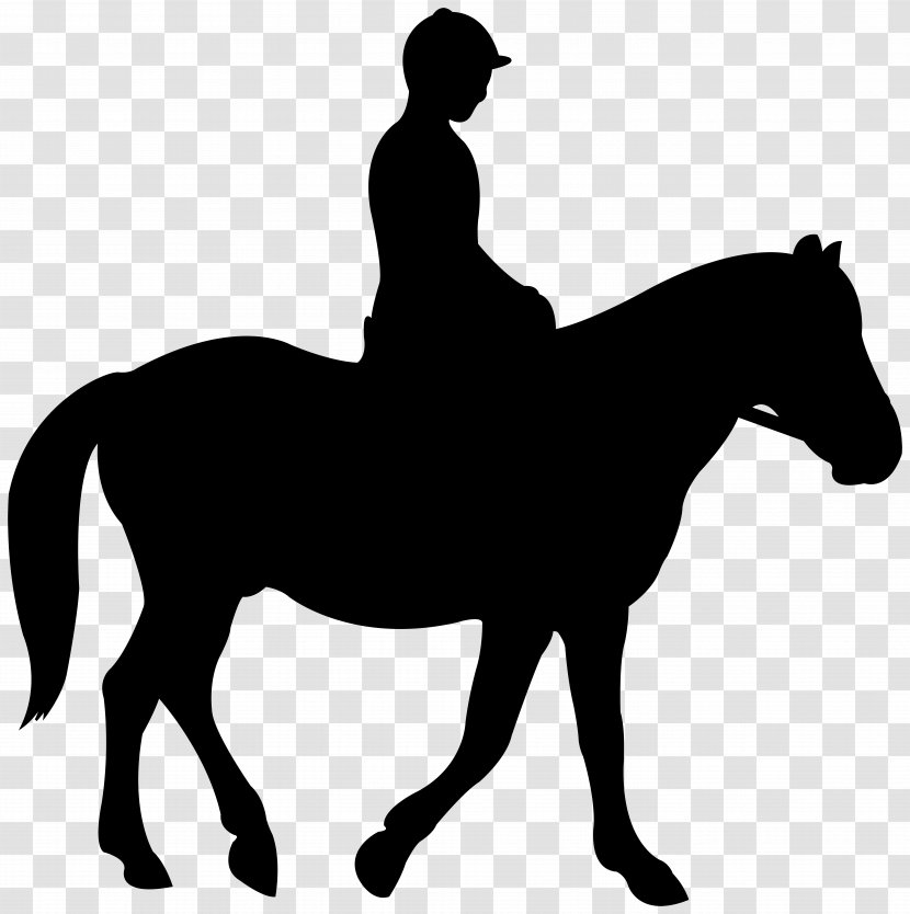 Mustang English Riding Rein Mare Stallion - Western Pleasure - Horse Tack Transparent PNG