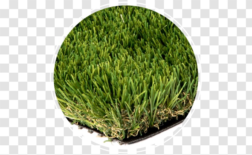 Artificial Turf Lawn Thatch Bentgrass Landscaping - Cap Brick Transparent PNG