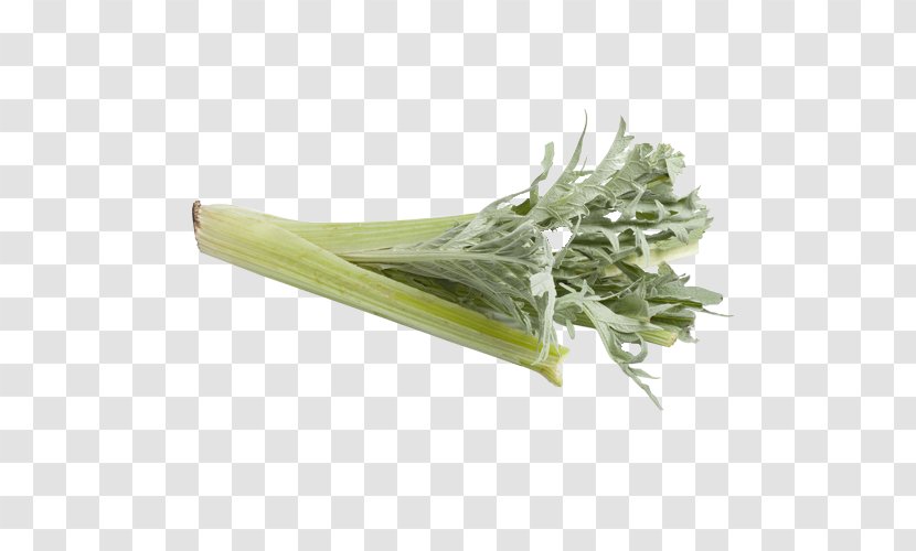 Vegetable Artichoke Stock Photography Image Royalty-free - Spring Greens Transparent PNG