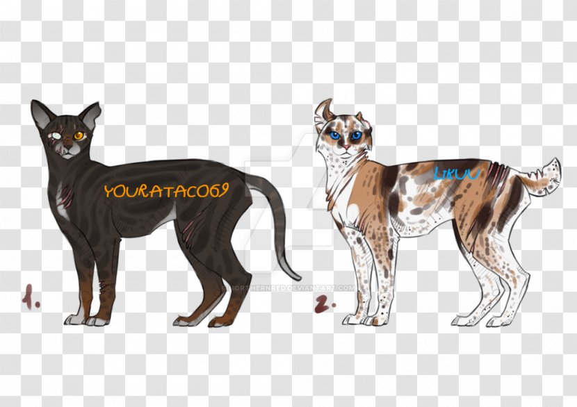 Cat Dog Breed Image Illustration - Silhouette Transparent PNG