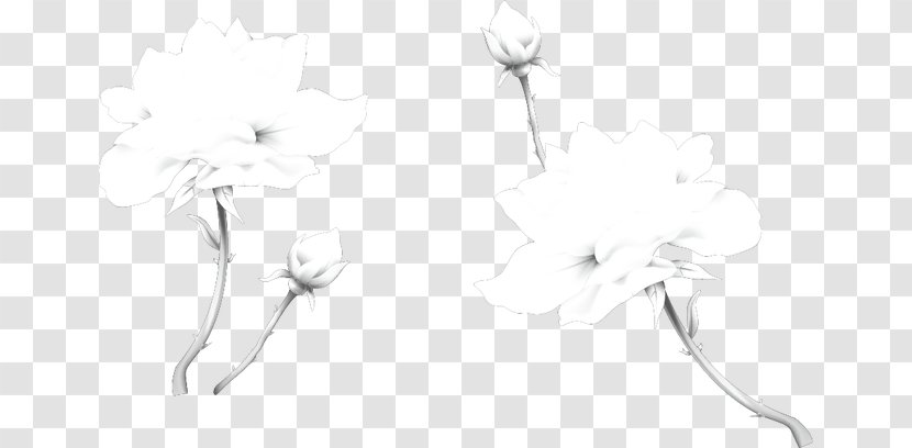 Black And White Sketch - Monochrome - Lotus Vector Material Transparent PNG
