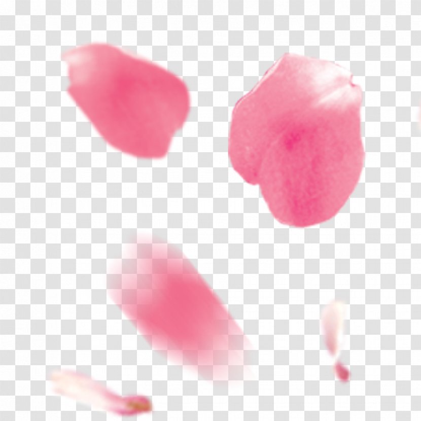 Download Peach Computer File - Lip - Pink Material Transparent PNG