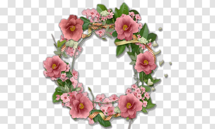 Flower Picture Frames Photography - Rose - BUNGA Transparent PNG