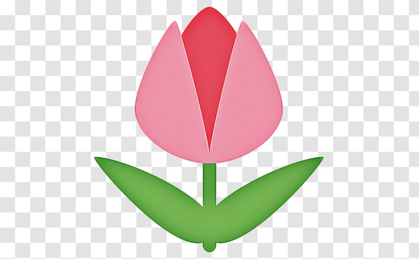 Pink Flower Cartoon - Tulip - Symbol Logo Transparent PNG