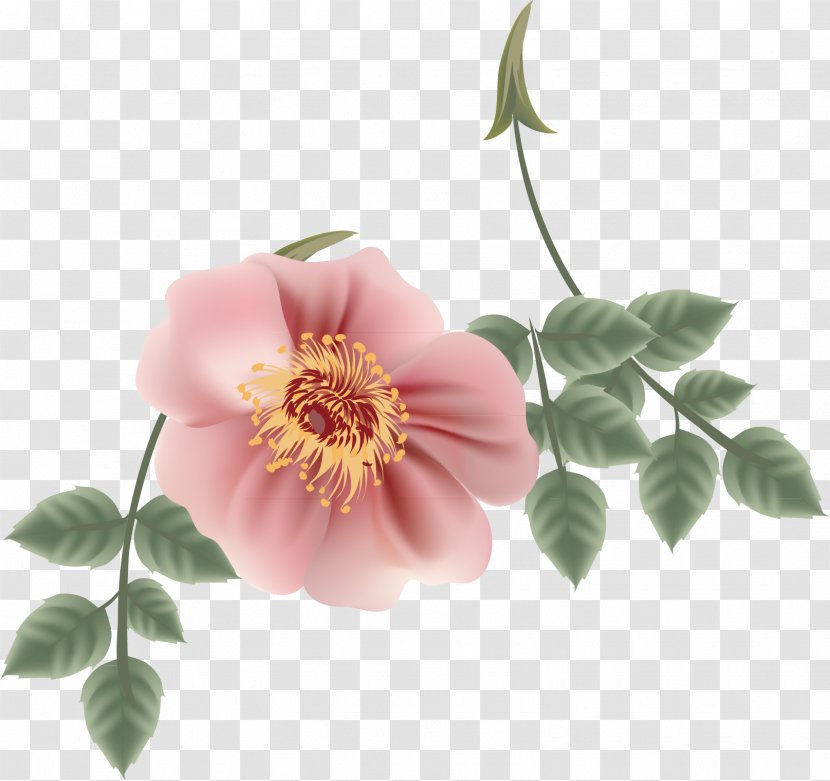 Flower Petal - Cartoon - Rose Material Transparent PNG