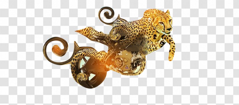 Car Motorcycle Poster Wallpaper - Cat Like Mammal - Leopard Transparent PNG