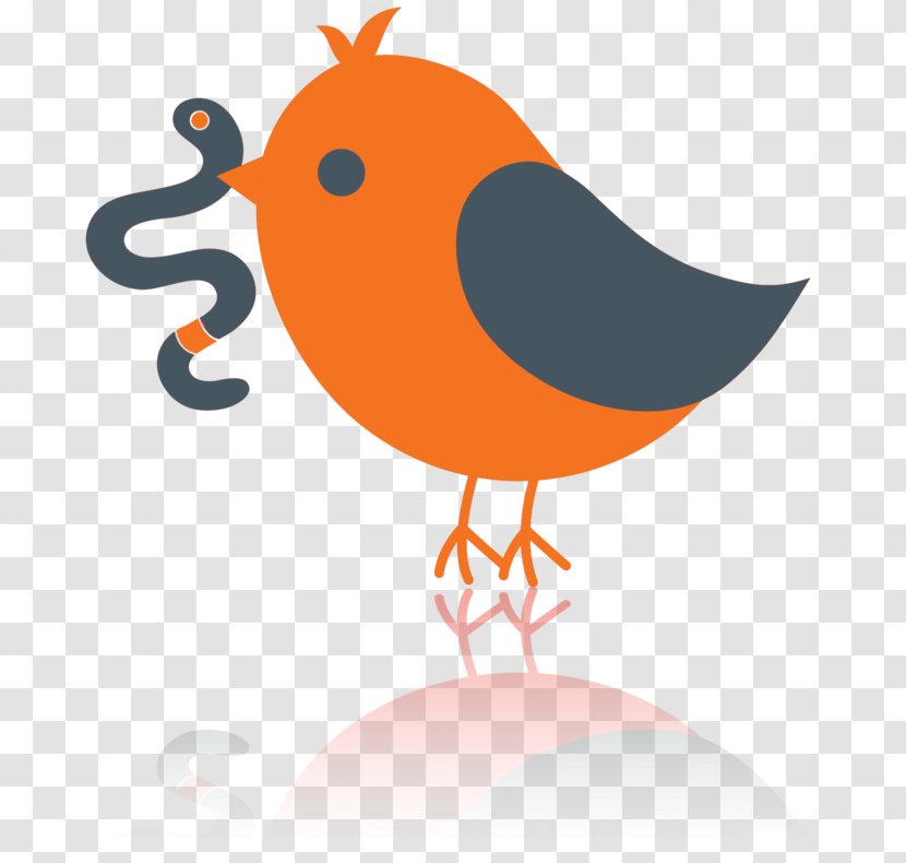 Bird Clip Art Transparent PNG