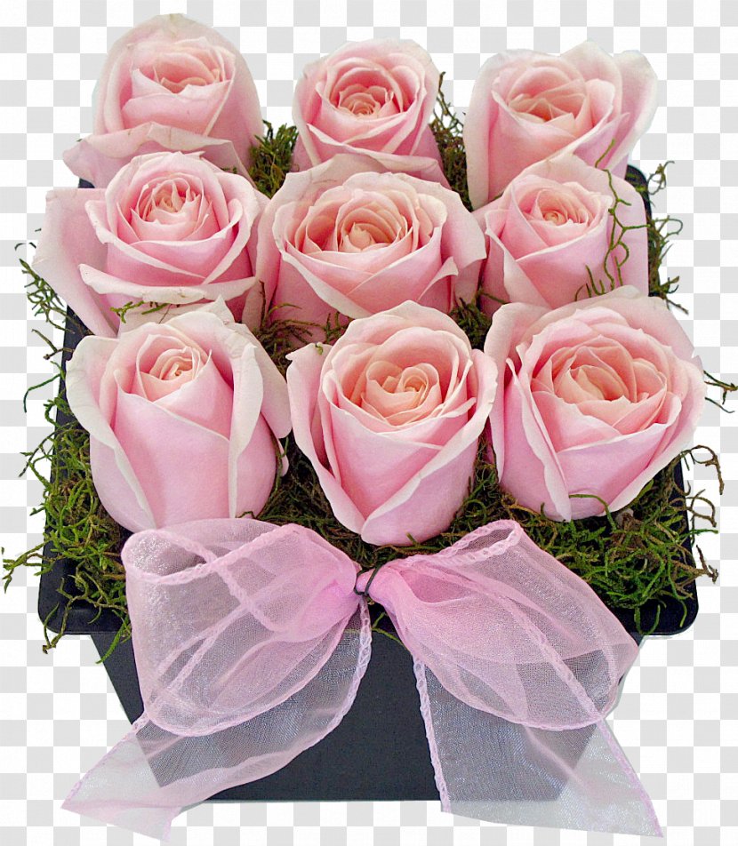Cut Flowers Floristry Floral Design Garden Roses - Pink - Gypsophila Transparent PNG