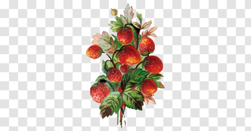 Strawberry Fruit Vegetable Blueberry - Cherry - Hand-painted Transparent PNG