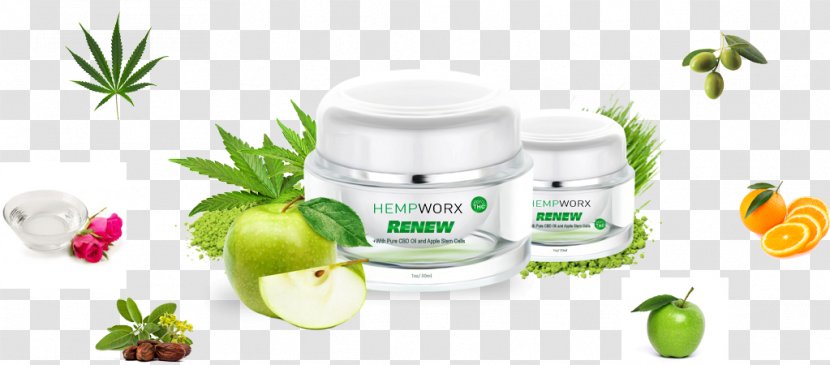 Cannabidiol Anti-aging Cream Hemp Life Extension - Plant - Cannabis Transparent PNG