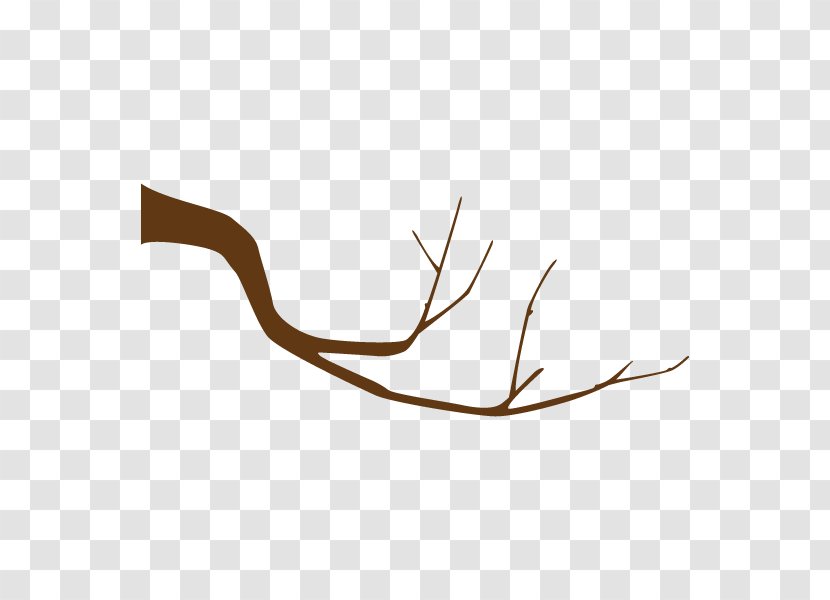 Illustration Branch Twig Illustrator Tree Transparent PNG