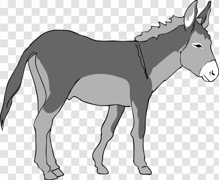 Donkey Free Content Clip Art - Mule - Images Transparent PNG