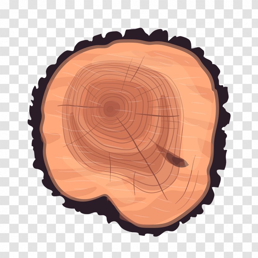 Tree Stump Trunk Wood - Eucalyptus Wheel Transparent PNG