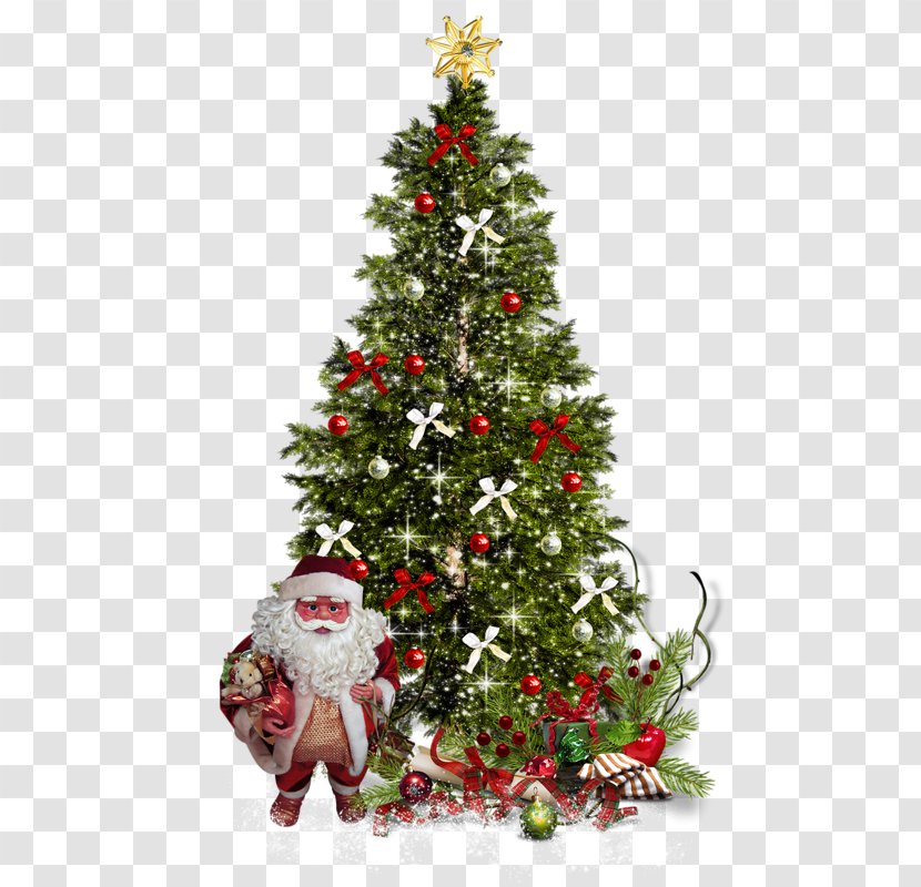Christmas Tree - Truecolor - Ornament Transparent PNG