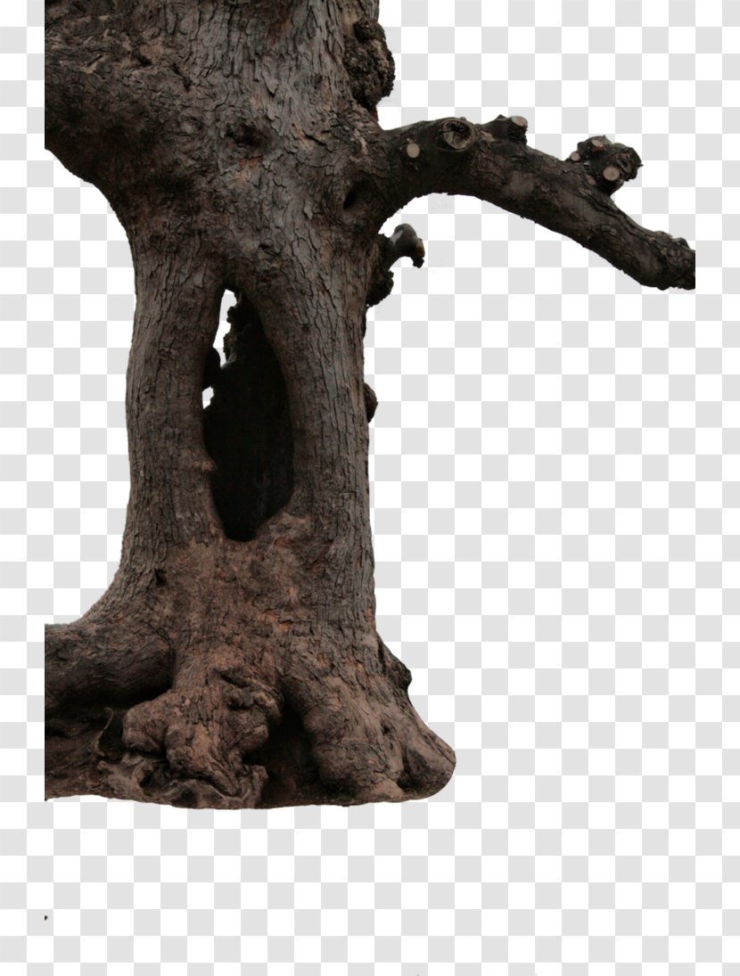 Trunk Tree Stump - Snag Transparent PNG