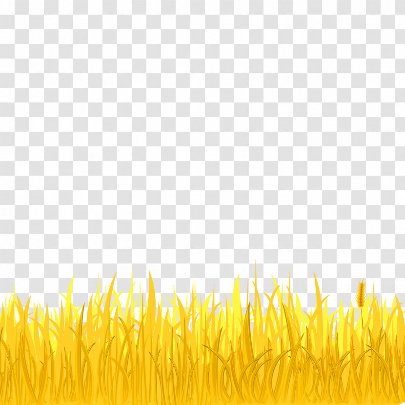 Autumn - Grass Family - Golden Wheat And Field Transparent PNG