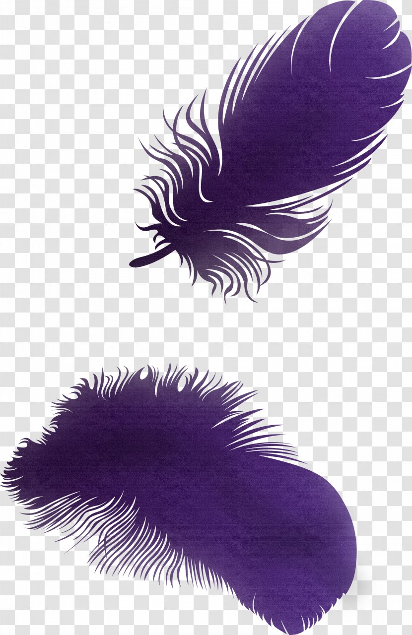Feather Clip Art - Violet - Picture Wings Material Transparent PNG