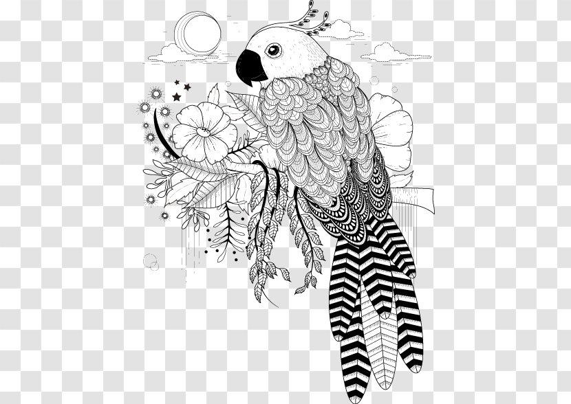 Bird Parrot Owl Stock Photography Illustration - Silhouette - Pattern Black Line Art Transparent PNG