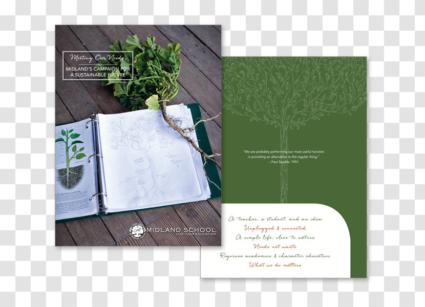 Brochure Brand - School Transparent PNG