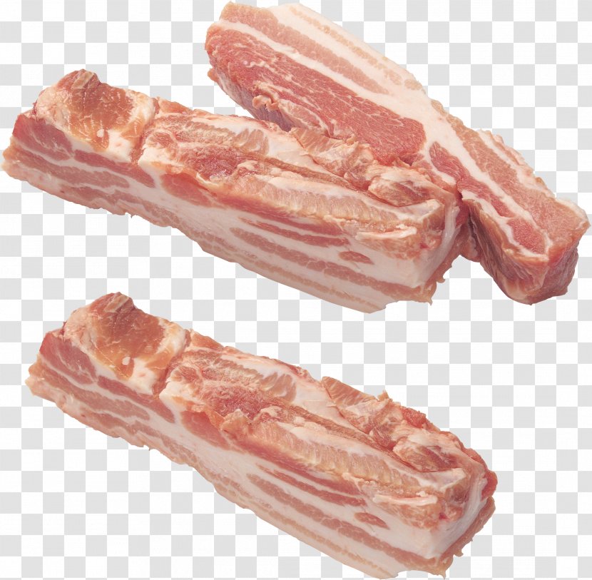 Bacon Ragout Embutido Meat - Watercolor Transparent PNG
