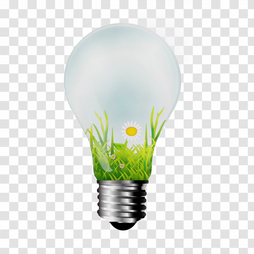 Light Bulb Cartoon - Lighting - Fluorescent Lamp Plant Transparent PNG