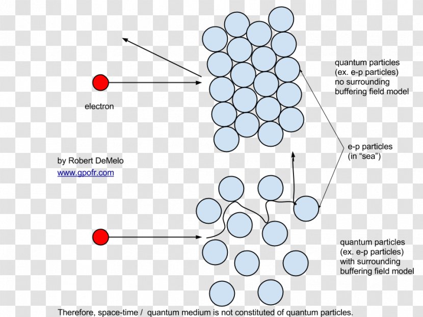 Particle Physics Matter Quantum Mechanics - Organism - Dense Vector Transparent PNG