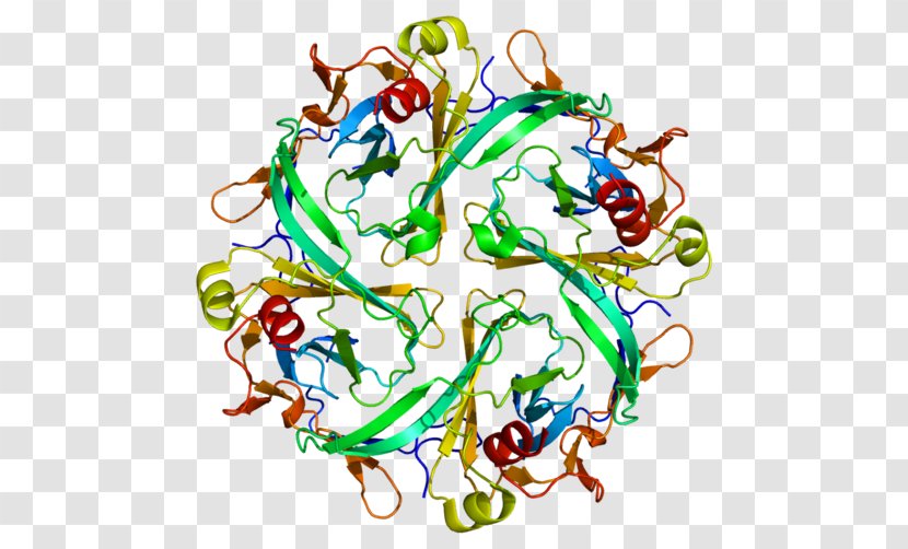 Kir2.1 Inward-rectifier Potassium Channel Protein Andersen–Tawil Syndrome - Cartoon - Tree Transparent PNG
