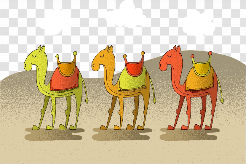 Camel Euclidean Vector Desert Illustration - Livestock Transparent PNG
