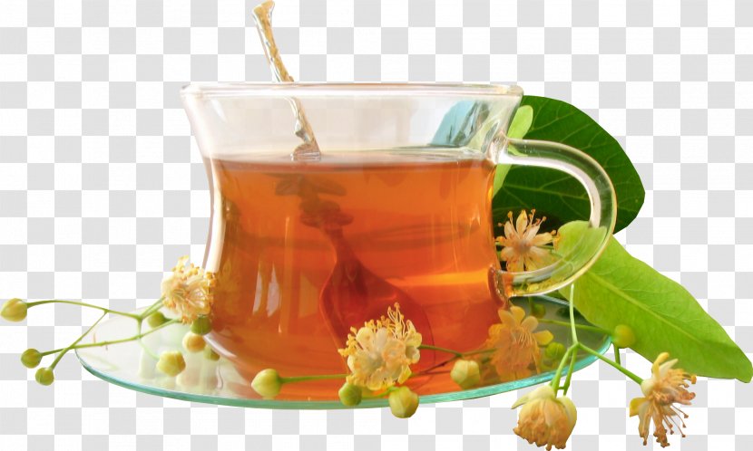 Herbal Tea Holy Basil Health - Bag - Chamomile Transparent PNG
