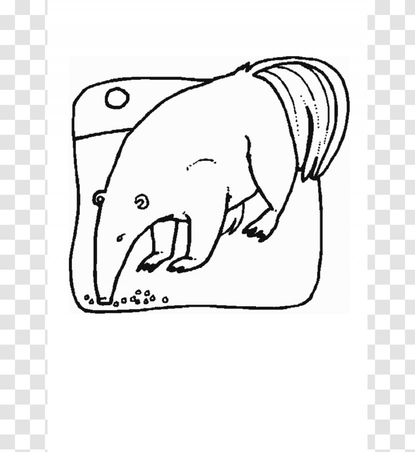 Giant Anteater Northern Tamandua Coloring Book Rhinoceros - Cartoon - Zoo Animal Images Transparent PNG