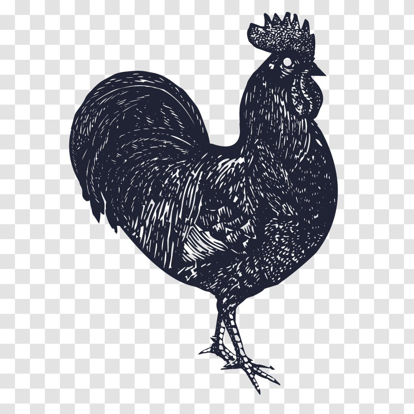 Rooster Rotisserie Chicken Dodo - Poultry Transparent PNG
