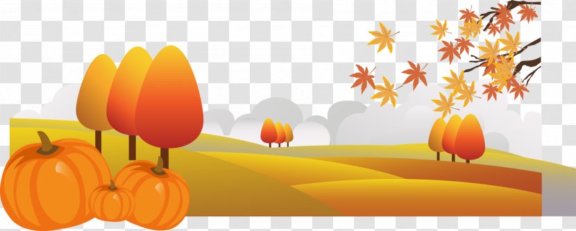 Pumpkin Autumn Cartoon Drawing Illustration - Food - Vector Transparent PNG