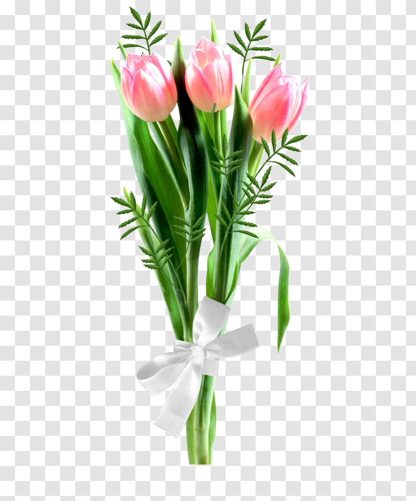 Garden Roses Cut Flowers Tulip Flower Bouquet - Rose Family Transparent PNG