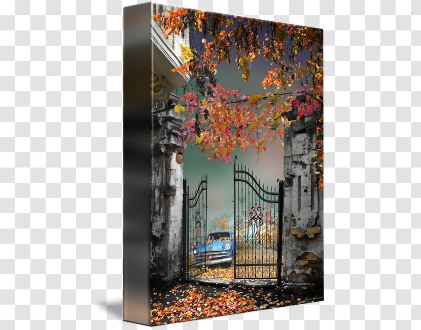 Window Autumn Tree Glass Unbreakable - Old Gate Transparent PNG